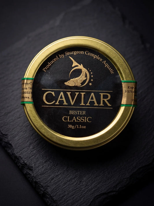 Aquatir Bester Classic Black Caviar